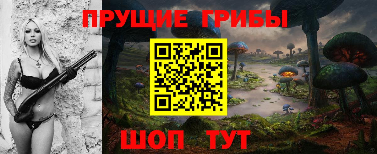 Тосно  Галлюциногенные грибы мухоморы  купить наркотики цена  Вход с VPN  Галлюциногенные грибы Magic Shrooms 